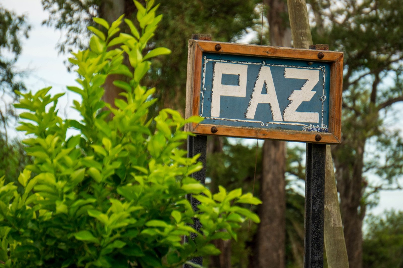 Máximo Paz · vista del pueblo